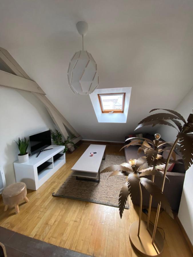 Appartement Hyper Centre Cathedrale Avec Parking Gratuit Amiens Bagian luar foto